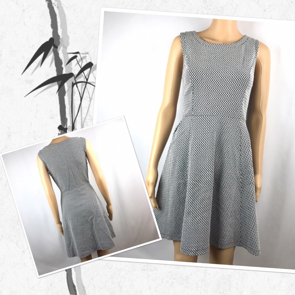 Merona Aline Dress Skater Stretch Sz S Black White